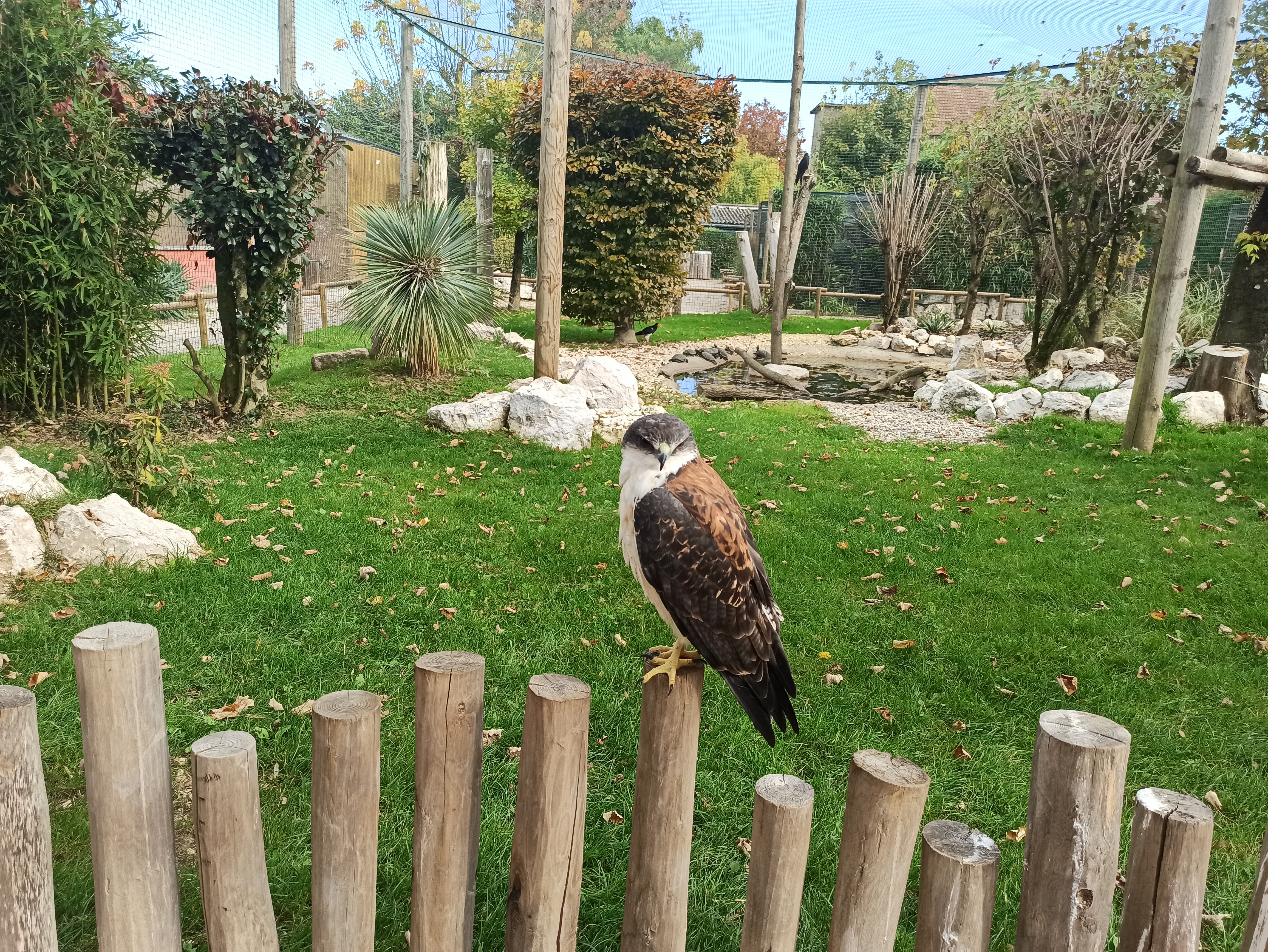 1635757956759.jpg (9.37 MB)