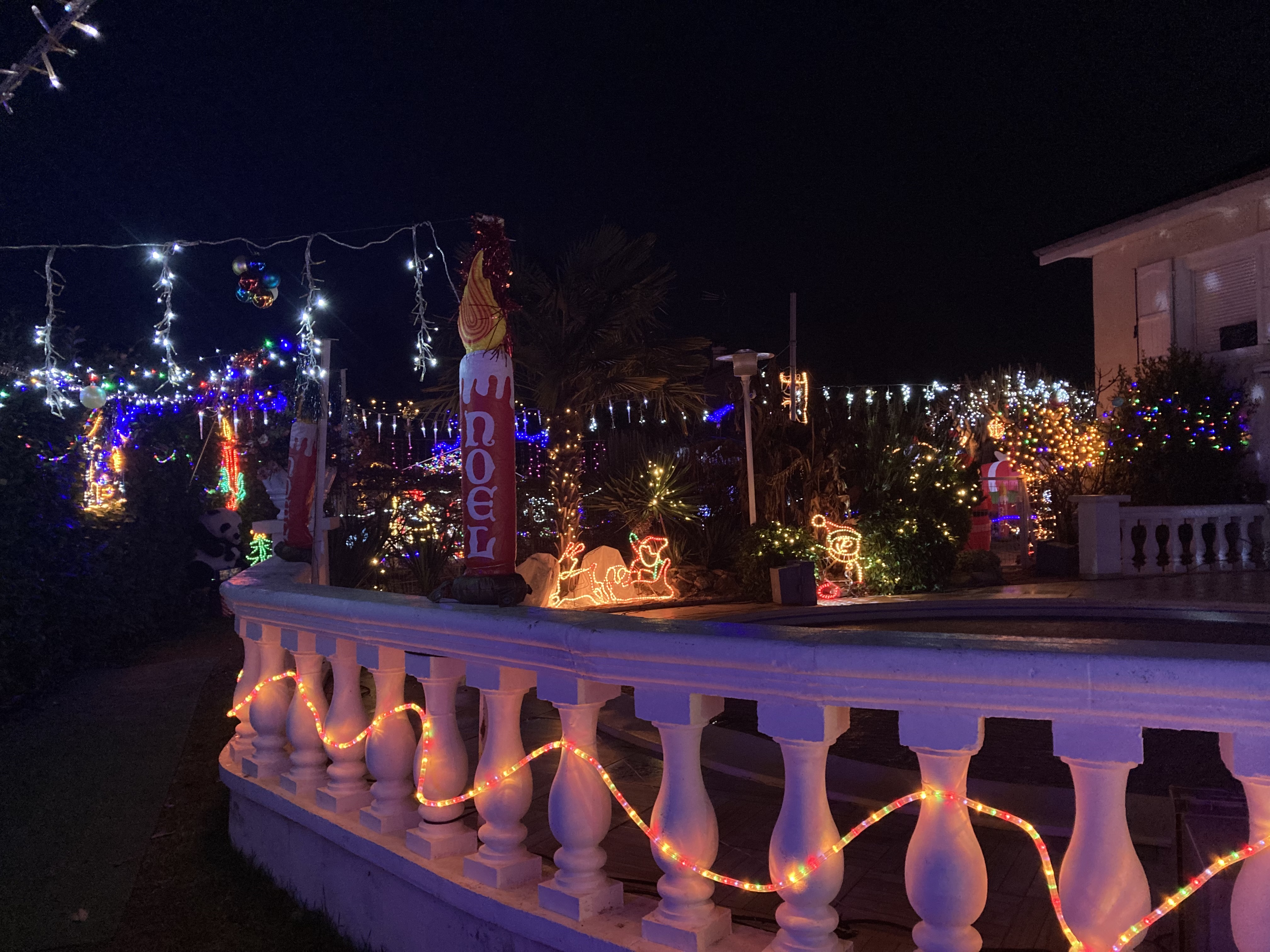 IMG_0254.jpg (3.08 MB)