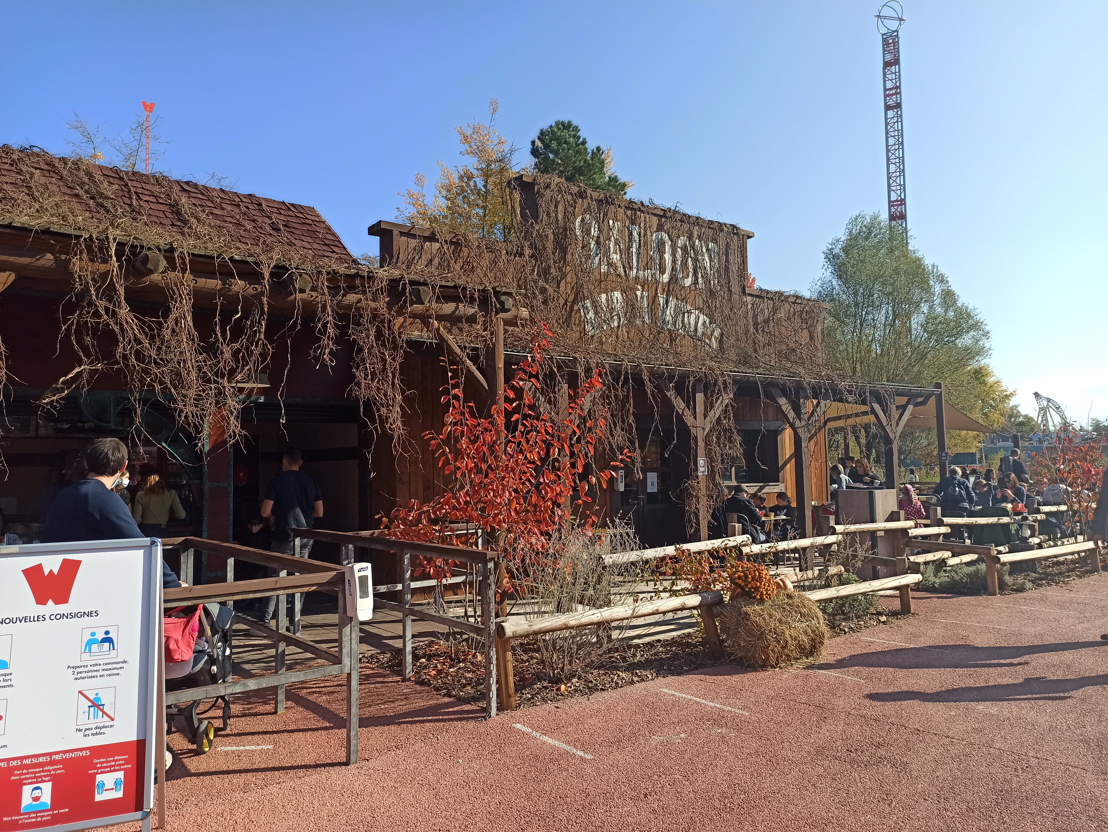 IMG_20211025_143221.jpg (8.02 MB)