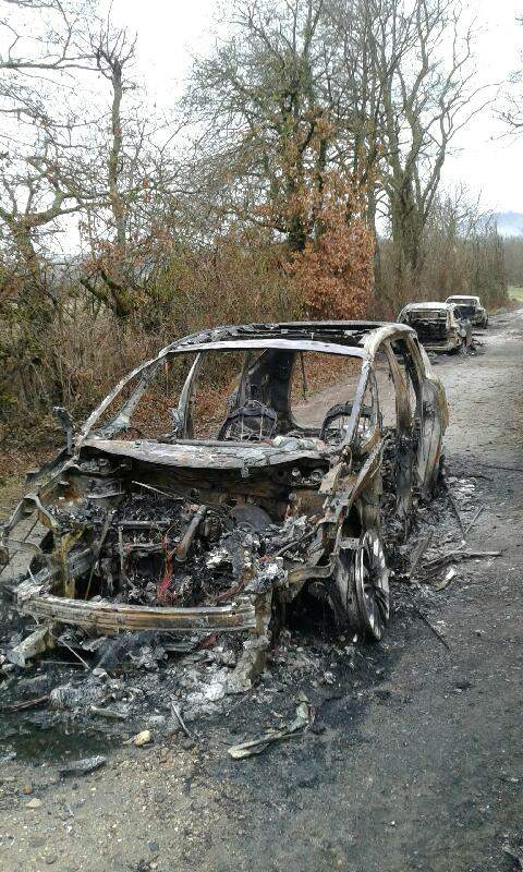 Resized_Resized_20220202_0908271001.jpg (108 KB)