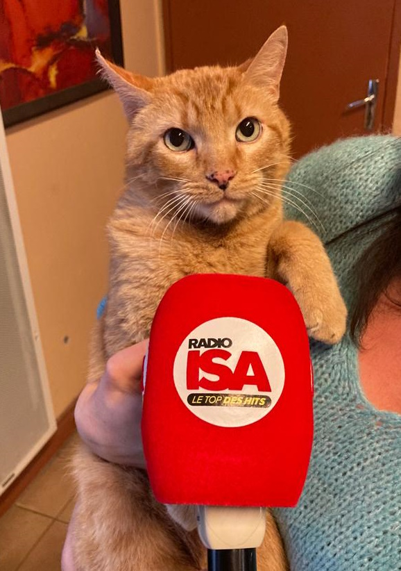 WhatsApp Image 2023-02-20 &agrave; 09.53.16.jpg (168 KB)