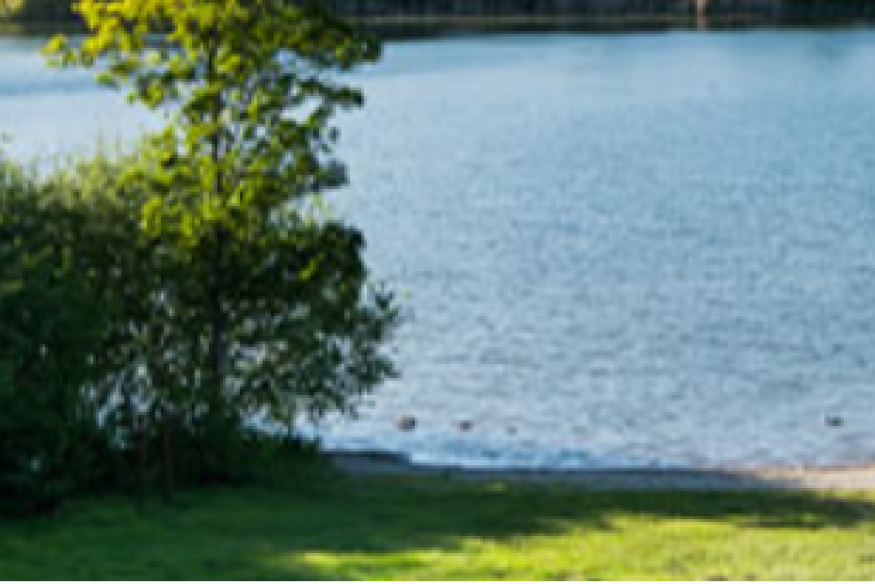 Saint-Quentin-Fallavier : finies les baignades à l'étang de Fallavier