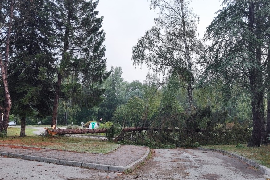 Un violent orage s'est abattu à Morestel et dans le Nord-Isère